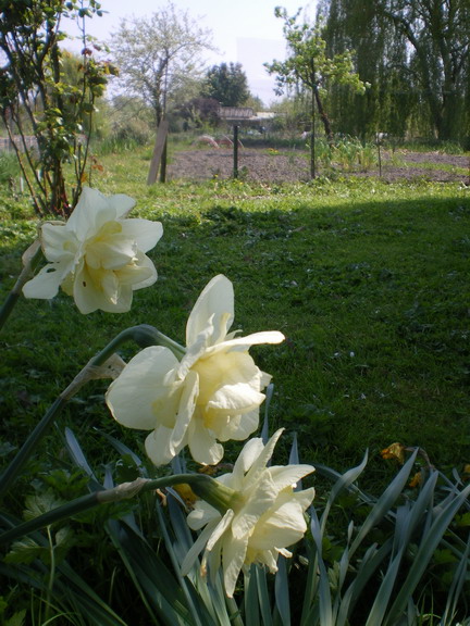 c0124619_545946.jpg
