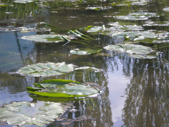 c0124619_5514673.jpg