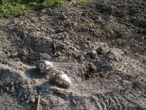 c0124619_5532977.jpg
