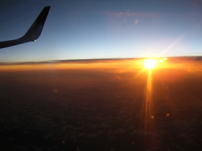 b0123820_10473240.gif