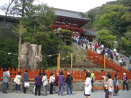 鎌倉・鶴岡八幡宮の狛犬_d0065324_205293.jpg