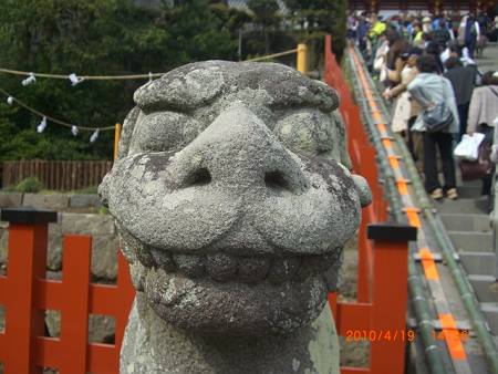 鎌倉・鶴岡八幡宮の狛犬_d0065324_20573467.jpg