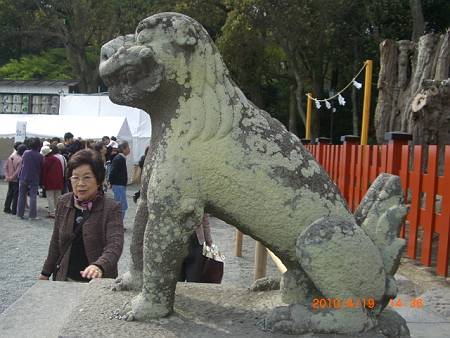 鎌倉・鶴岡八幡宮の狛犬_d0065324_2057867.jpg