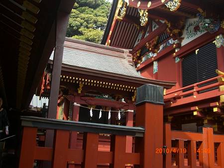 鎌倉・鶴岡八幡宮の狛犬_d0065324_2164032.jpg