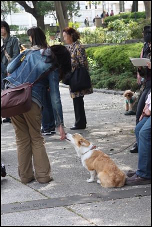 2010\'春の遠足*横浜ベイサイドに行く♪_e0191026_23244637.jpg