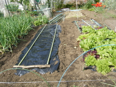 f0235026_10212613.jpg