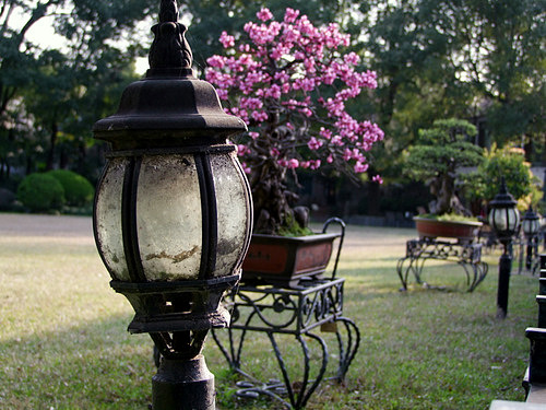 「上海2010 申粤軒 丁香花園店のスペアリブ香り揚げ」_a0000029_0263514.jpg