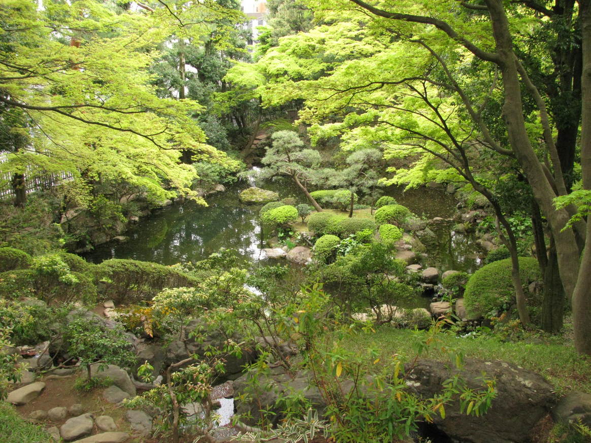 いけばな教室の人と殿ヶ谷戸公園に行ってきました。_a0117733_134859.jpg