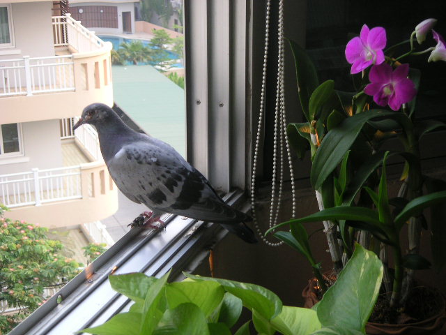 c0127933_8492589.jpg