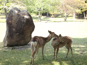 d0105133_23491.jpg