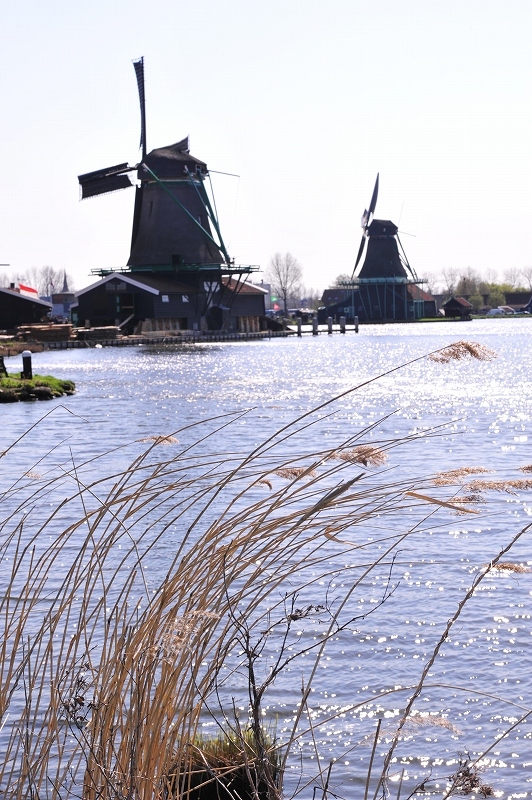 オランダ　の旅３　風車_f0050534_16175050.jpg