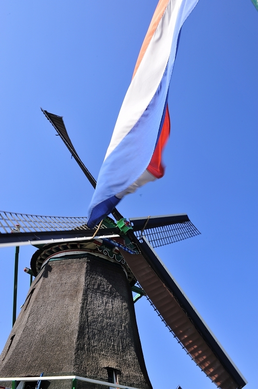 オランダの旅　4風車界隈_f0050534_1626624.jpg