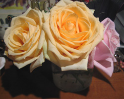 f0038336_8343573.jpg