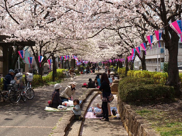 sakura watching 2　　　2010年4月8日_a0106043_126337.jpg