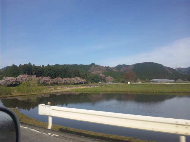 田_a0120144_1237151.jpg