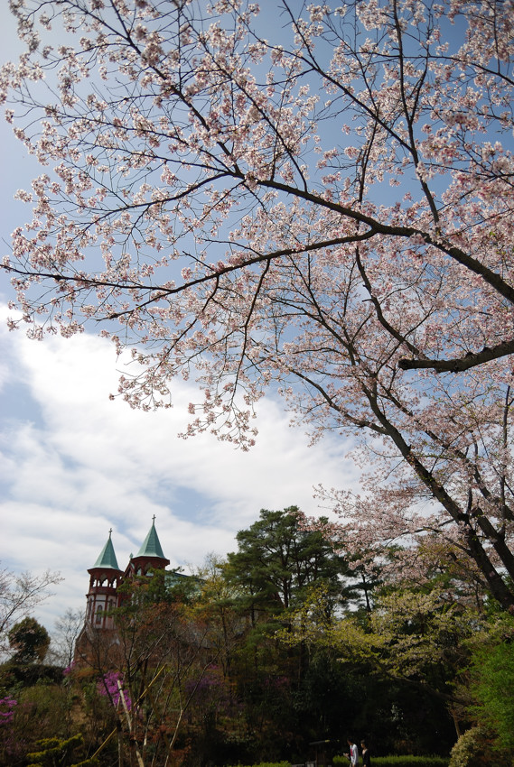 続、明治村　桜_c0171945_012557.jpg