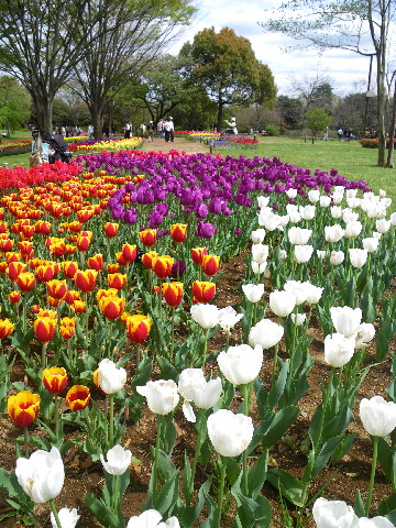 e0069647_22891.jpg