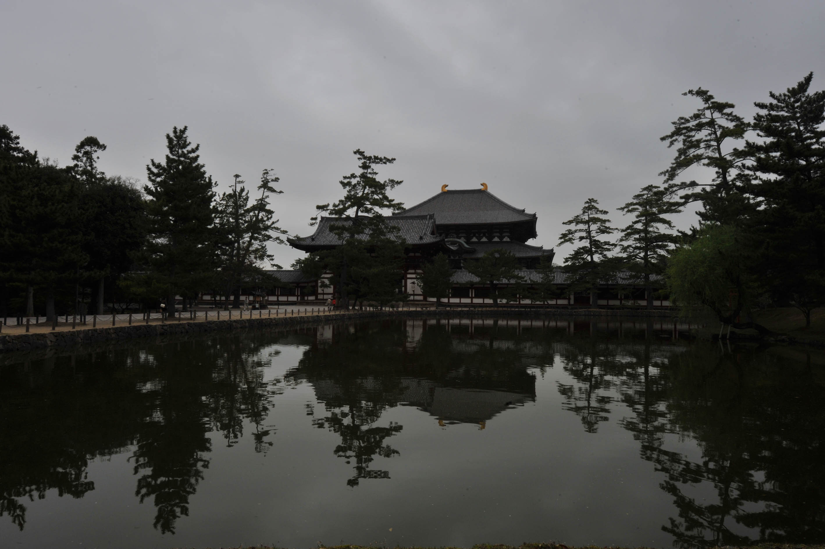 雨の日のお寺_e0157647_21333017.jpg