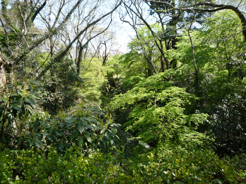 b0045357_850159.jpg
