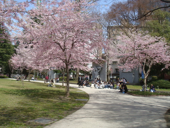 e0196261_22404389.jpg
