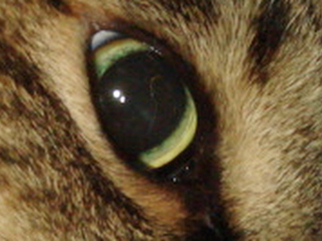 f0132565_11283643.jpg