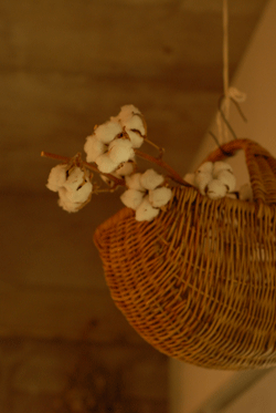 b0173176_1117332.gif