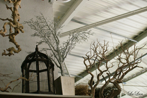 d0141376_05618.jpg
