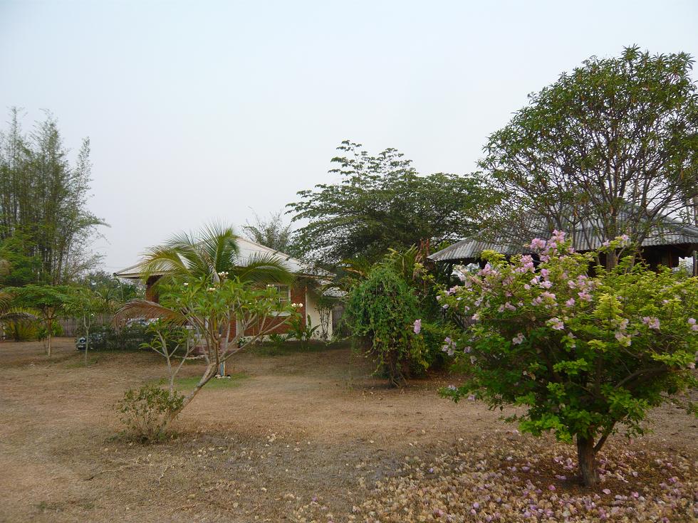 f0178278_16455844.jpg