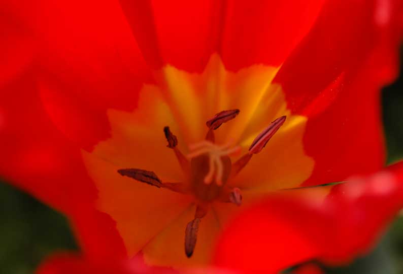 b0057679_8405799.jpg