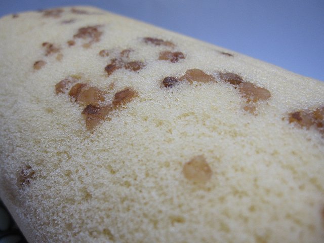 b0167979_97998.jpg