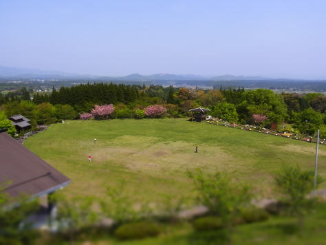 さくら、サクラ、桜........_d0127182_1739362.jpg