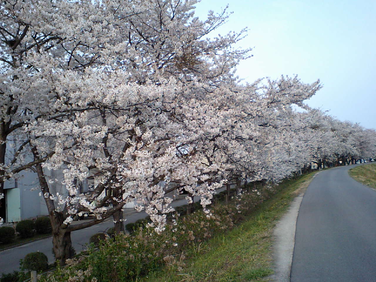 e0131083_62930.jpg