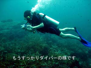 初の一人旅&体験ダイビング♪_f0144385_0581036.jpg