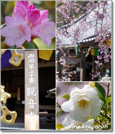善峰寺_a0053987_69527.jpg