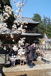 境内アート終了!_d0028589_081460.jpg