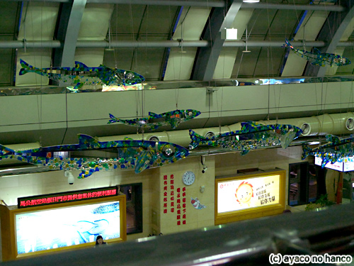 e0171089_173883.jpg