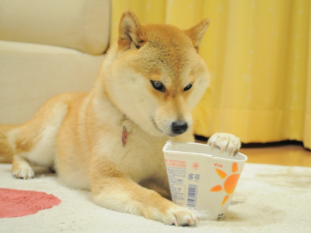 ようやく・・・_a0126590_22525970.jpg
