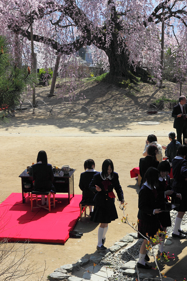 10.04.04：旧山本中学校と麻績の舞台桜、そして撮り鉄３_c0007190_187770.jpg