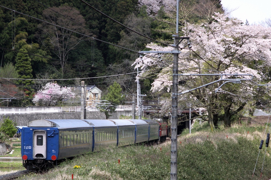 今日も針生の山で撮影です？？_c0035094_1457228.jpg