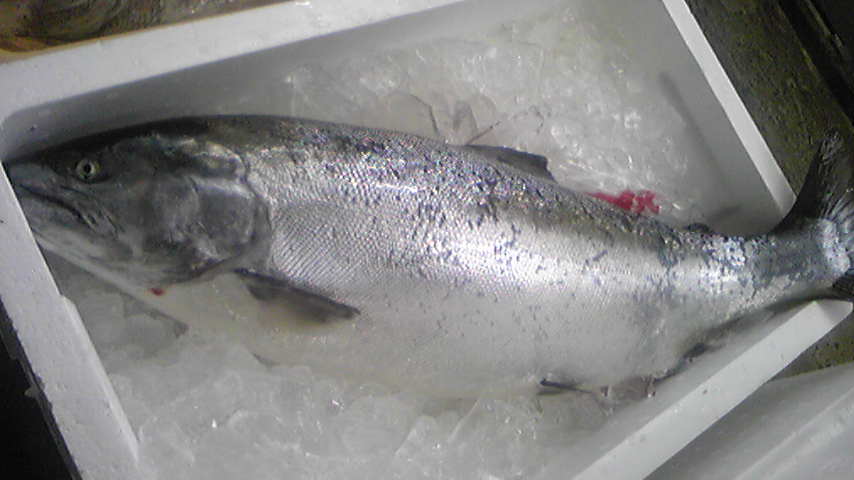 e0188897_13561752.jpg