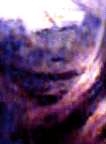 e0103408_14533195.gif