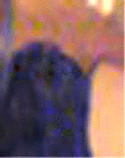 e0103408_14542634.gif