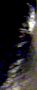 e0103408_152867.gif