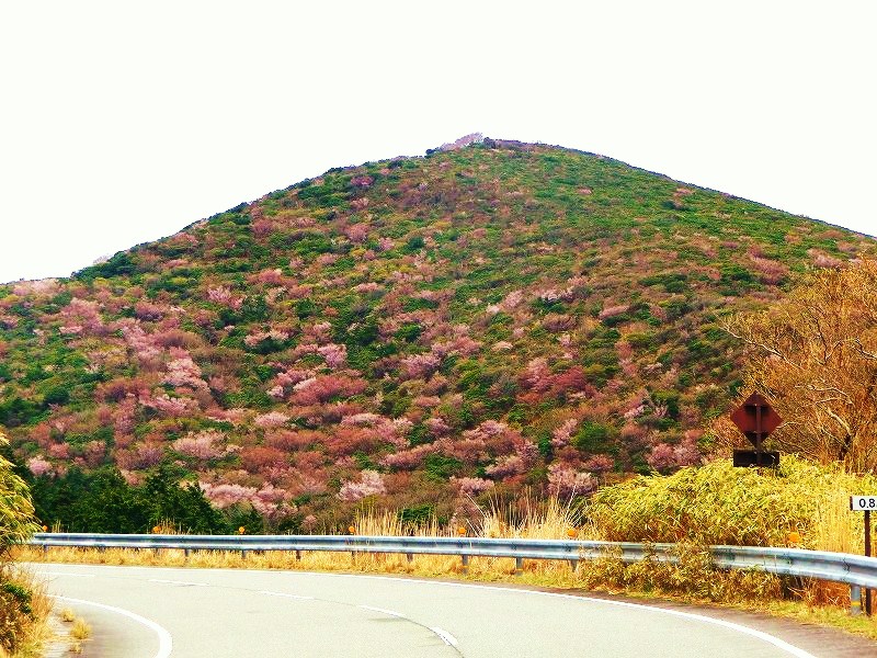 f0182513_8272443.jpg