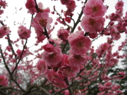 b0147224_0164039.jpg
