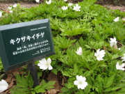 b0147224_0192839.jpg