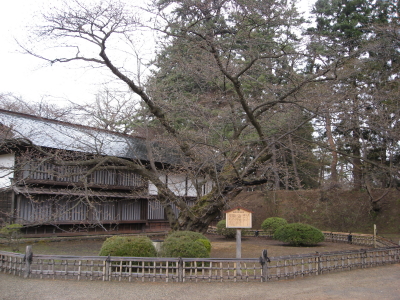 b0147224_0344922.jpg