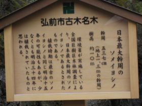 b0147224_0383923.jpg