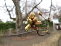 b0147224_0405935.jpg