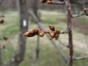 b0147224_0484750.jpg